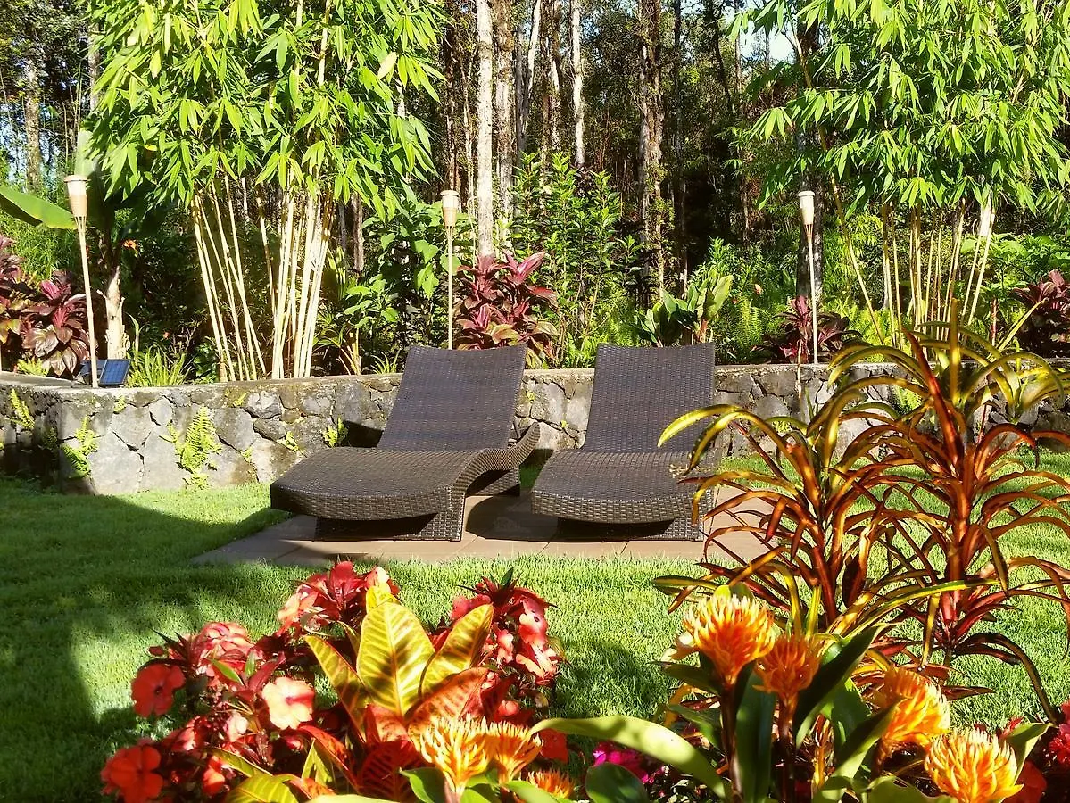 Bed & Breakfast Volcano Eco Retreat By Heart Core Hotels - Adults Only Fern Acres